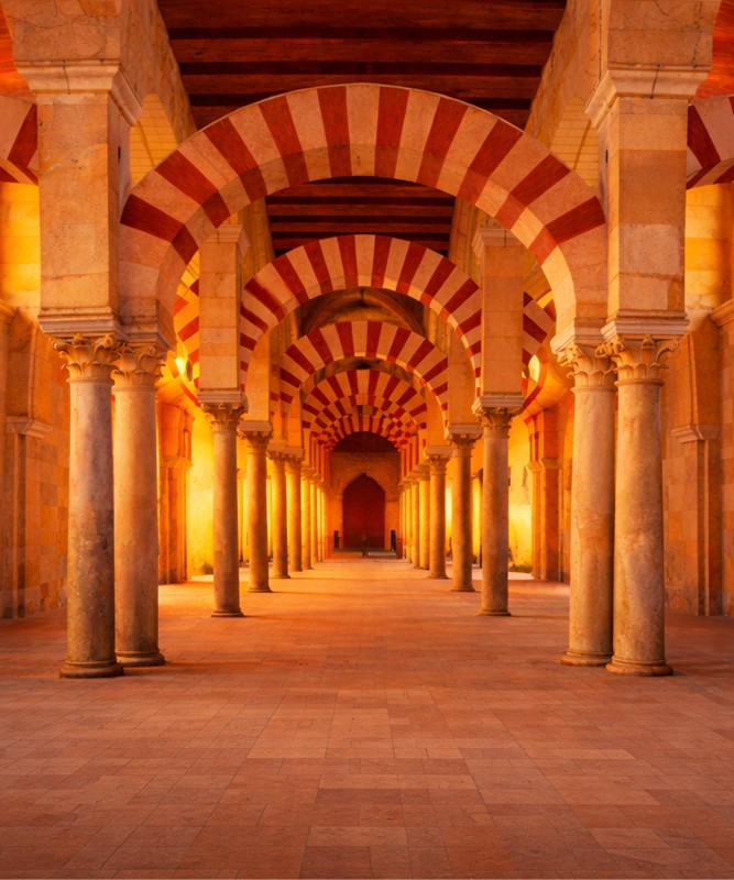 End�l�s�ten Akdeniz�e: �spanya�n�n B�y�k Yolculu�u